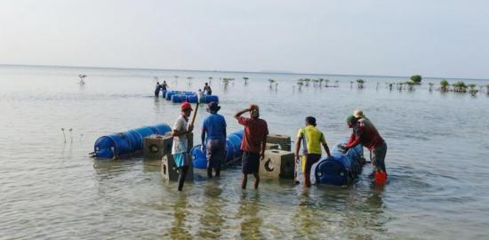 2.671 Substrat Karang di Kepulauan Seribu Pulihkan Ekosistem Pesisir