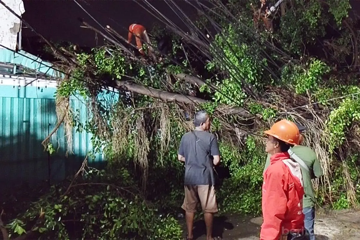Belasan Pohon Tumbang dan Sempal di Jakarta Timur Sudah Dievakuasi