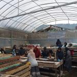 Nasabah PNM Mekaar di Bandung Barat Sukses Kembangkan Usaha Berkelanjutan