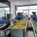 Polling Program Makan Bergizi Gratis: Partisipasi Publik Diperlukan