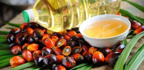 Periode April 2025, Harga Referensi CPO Menguat Sedangkan Biji Kakao Melemah