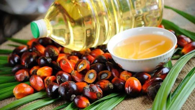 Periode April 2025, Harga Referensi CPO Menguat Sedangkan Biji Kakao Melemah