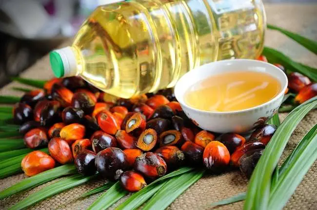 Periode April 2025, Harga Referensi CPO Menguat Sedangkan Biji Kakao Melemah