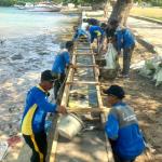 Pasukan Biru Tinggikan Tanggul di Pulau Kelapa
