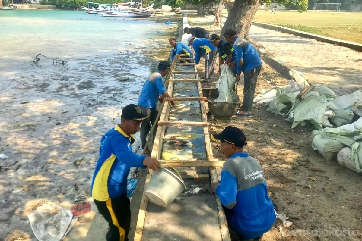 Pasukan Biru Tinggikan Tanggul di Pulau Kelapa