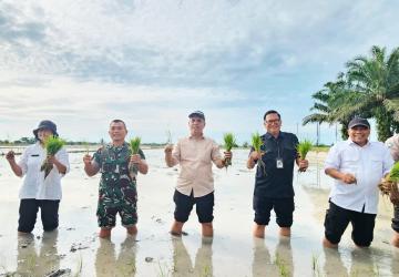 Dorong Keberlanjutan Program Oplah: Kementan Terus Ajak Petani Lakukan Tanam