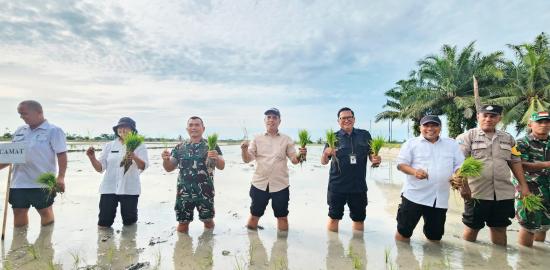 Dorong Keberlanjutan Program Oplah: Kementan Terus Ajak Petani Lakukan Tanam
