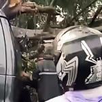 Pengemudi Tewas Terjebak di Mobil Akibat Pohon Tumbang di Bandung