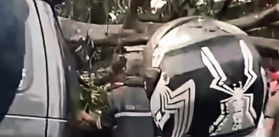 Pengemudi Tewas Terjebak di Mobil Akibat Pohon Tumbang di Bandung