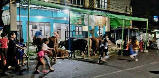 Jumlah Hewan Kurban di Bandung Menurun, Pengawasan Kesehatan Tetap Diperketat