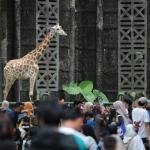 Lonjakan Pengunjung TMR Selama Libur Paskah 2026