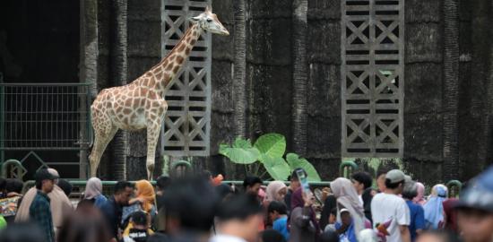 Lonjakan Pengunjung TMR Selama Libur Paskah 2026