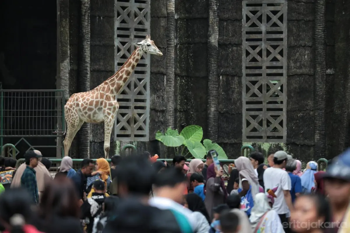 Lonjakan Pengunjung TMR Selama Libur Paskah 2026